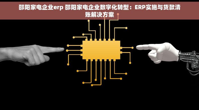 邵阳家电企业erp 邵阳家电企业数字化转型：ERP实施与货款清账解决方案