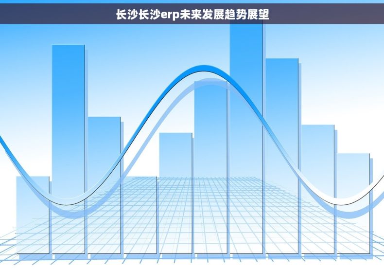 长沙长沙erp未来发展趋势展望