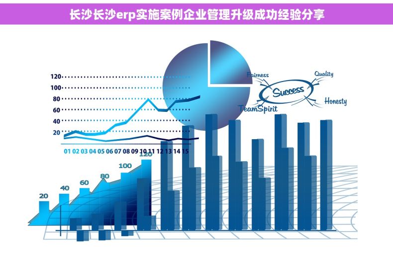长沙长沙erp实施案例企业管理升级成功经验分享