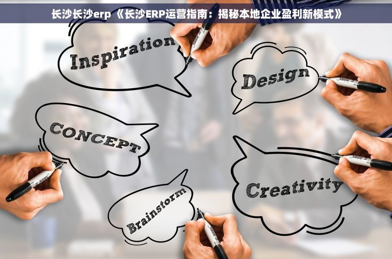 长沙长沙erp 《长沙ERP运营指南：揭秘本地企业盈利新模式》