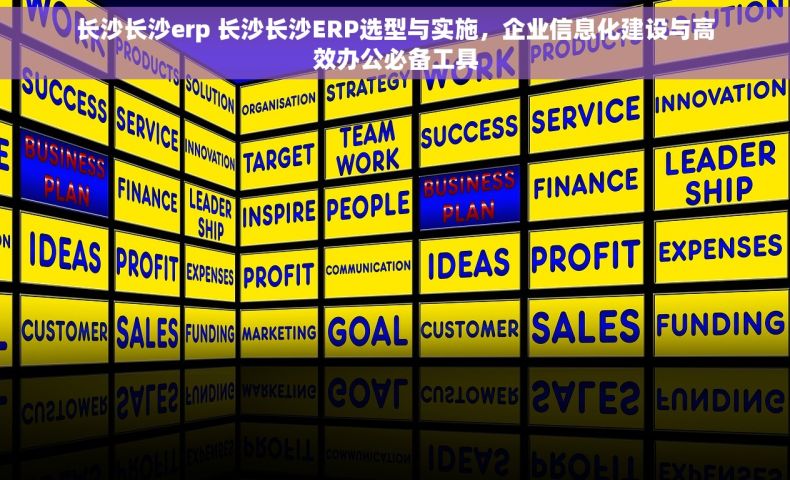长沙长沙erp 长沙长沙ERP选型与实施，企业信息化建设与高效办公必备工具