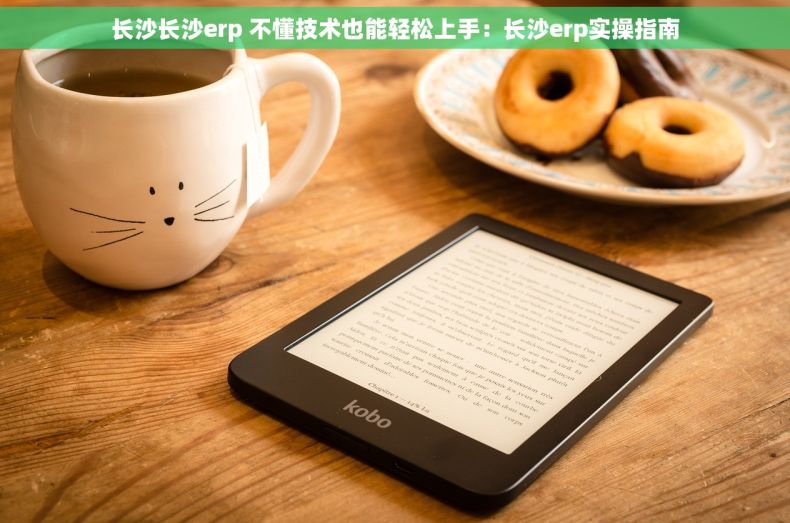 长沙长沙erp 不懂技术也能轻松上手：长沙erp实操指南