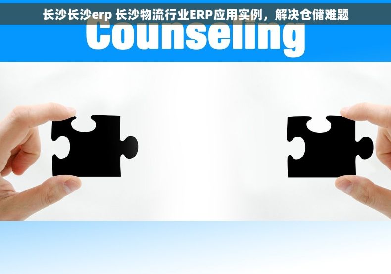 长沙长沙erp 长沙物流行业ERP应用实例，解决仓储难题