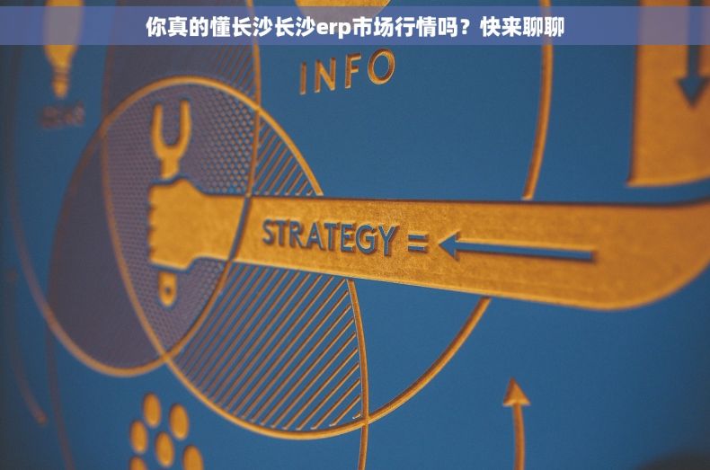 你真的懂长沙长沙erp市场行情吗？快来聊聊