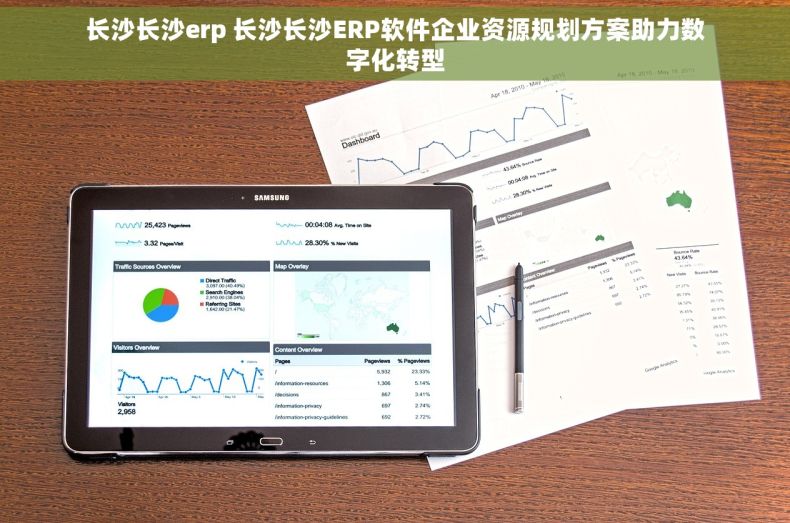 长沙长沙erp 长沙长沙ERP软件企业资源规划方案助力数字化转型