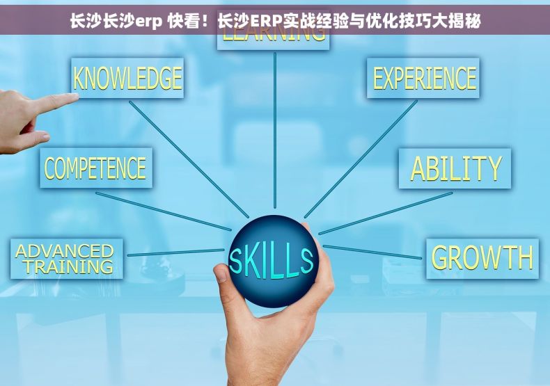长沙长沙erp 快看！长沙ERP实战经验与优化技巧大揭秘
