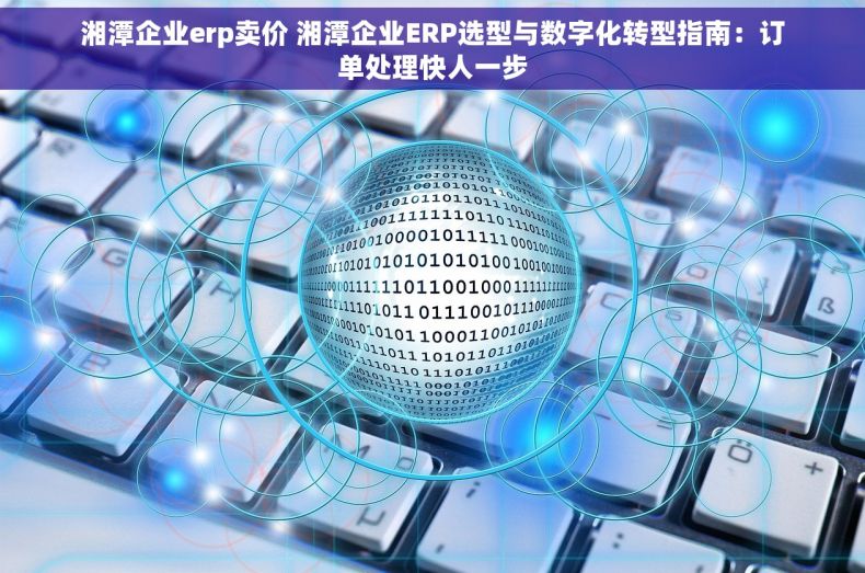 湘潭企业erp卖价 湘潭企业ERP选型与数字化转型指南：订单处理快人一步