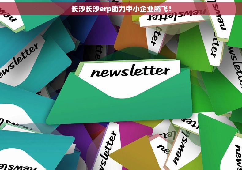 长沙长沙erp助力中小企业腾飞！