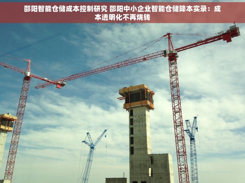邵阳智能仓储成本控制研究 邵阳中小企业智能仓储降本实录：成本透明化不再烧钱