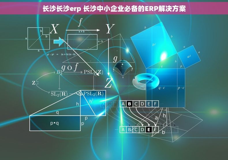 长沙长沙erp 长沙中小企业必备的ERP解决方案
