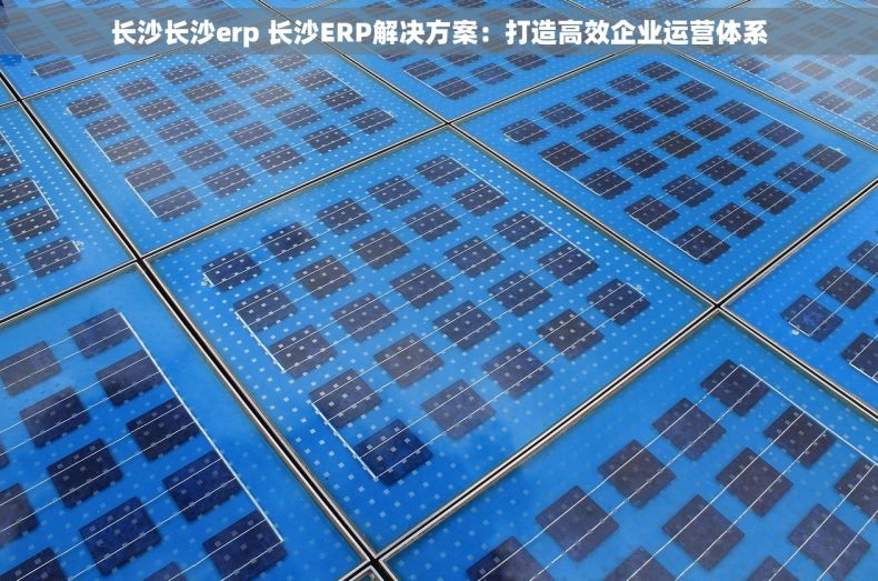 长沙长沙erp 长沙ERP解决方案：打造高效企业运营体系