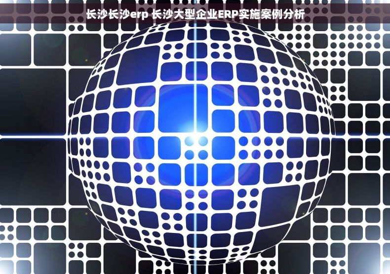 长沙长沙erp 长沙大型企业ERP实施案例分析