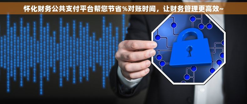 怀化财务公共支付平台帮您节省%对账时间，让财务管理更高效~