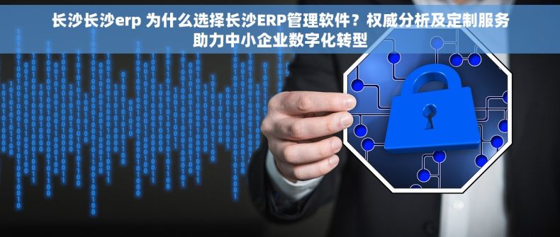 长沙长沙erp 为什么选择长沙ERP管理软件？权威分析及定制服务助力中小企业数字化转型