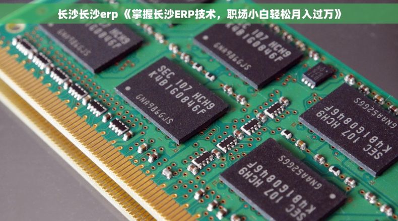 长沙长沙erp 《掌握长沙ERP技术，职场小白轻松月入过万》