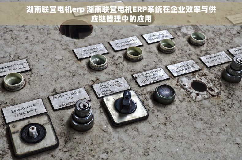 湖南联宜电机erp 湖南联宜电机ERP系统在企业效率与供应链管理中的应用