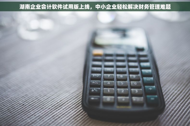 湖南企业会计软件试用版上线，中小企业轻松解决财务管理难题