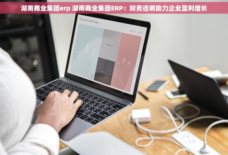 湖南商业集团erp 湖南商业集团ERP：财务透明助力企业盈利增长