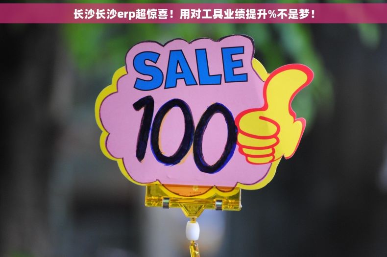 长沙长沙erp超惊喜！用对工具业绩提升%不是梦！