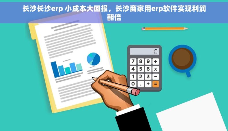 长沙长沙erp 小成本大回报，长沙商家用erp软件实现利润翻倍