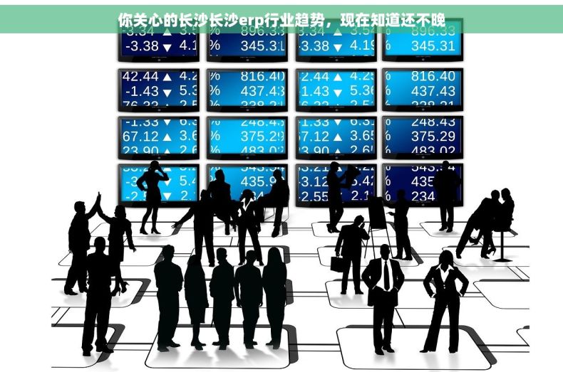 你关心的长沙长沙erp行业趋势，现在知道还不晚