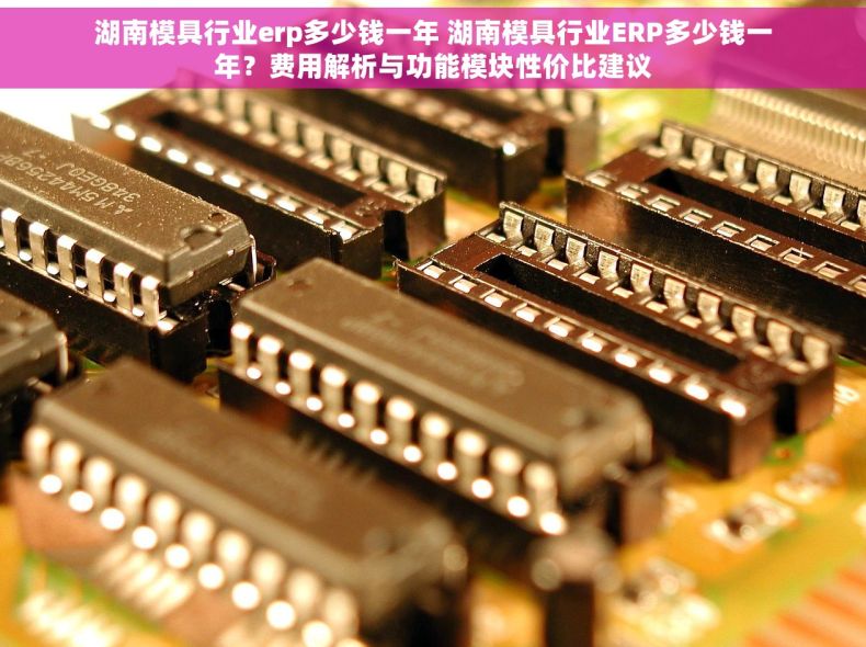湖南模具行业erp多少钱一年 湖南模具行业ERP多少钱一年？费用解析与功能模块性价比建议