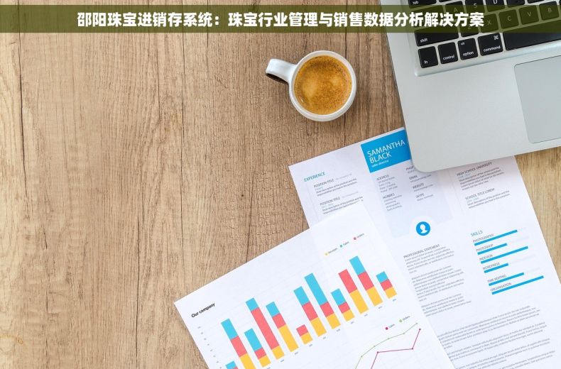 邵阳珠宝进销存系统：珠宝行业管理与销售数据分析解决方案