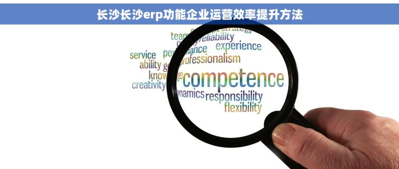 长沙长沙erp功能企业运营效率提升方法