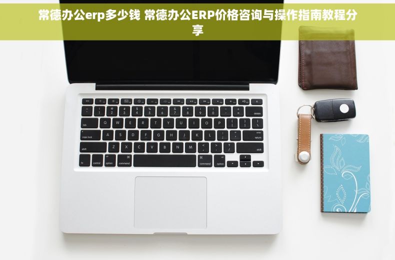 常德办公erp多少钱 常德办公ERP价格咨询与操作指南教程分享