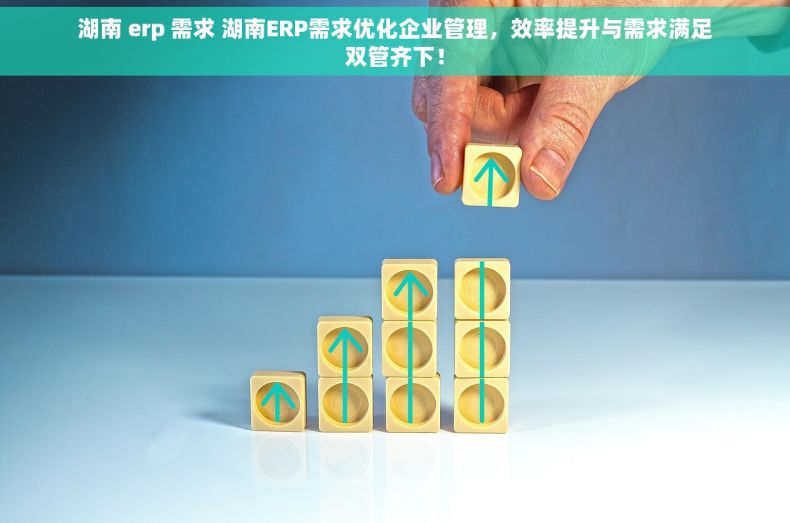 湖南 erp 需求 湖南ERP需求优化企业管理，效率提升与需求满足双管齐下！