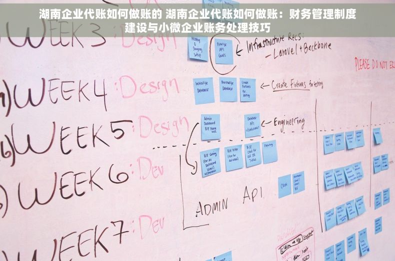 湖南企业代账如何做账的 湖南企业代账如何做账：财务管理制度建设与小微企业账务处理技巧