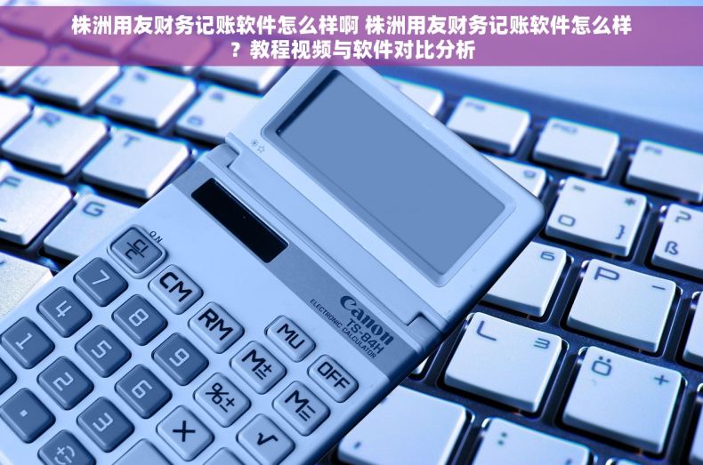 株洲用友财务记账软件怎么样啊 株洲用友财务记账软件怎么样？教程视频与软件对比分析