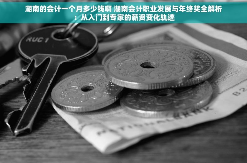 湖南的会计一个月多少钱啊 湖南会计职业发展与年终奖全解析：从入门到专家的薪资变化轨迹