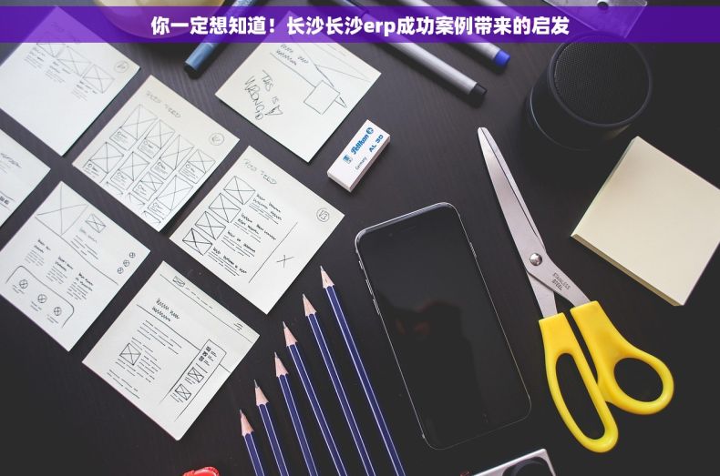 你一定想知道！长沙长沙erp成功案例带来的启发