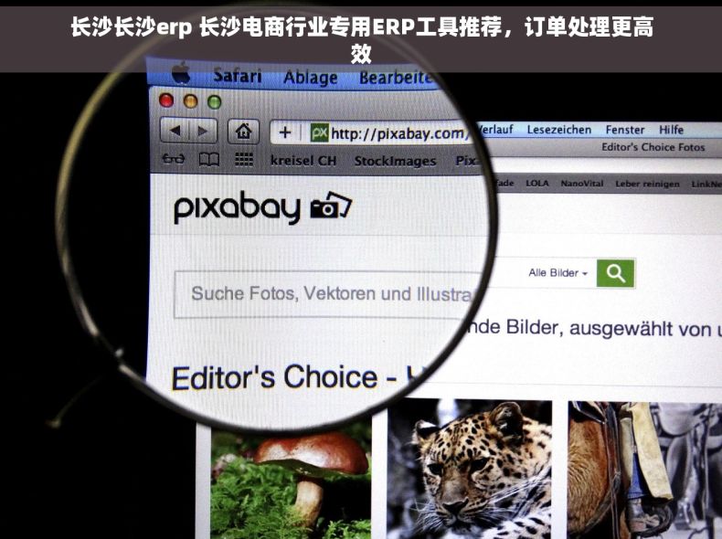 长沙长沙erp 长沙电商行业专用ERP工具推荐，订单处理更高效