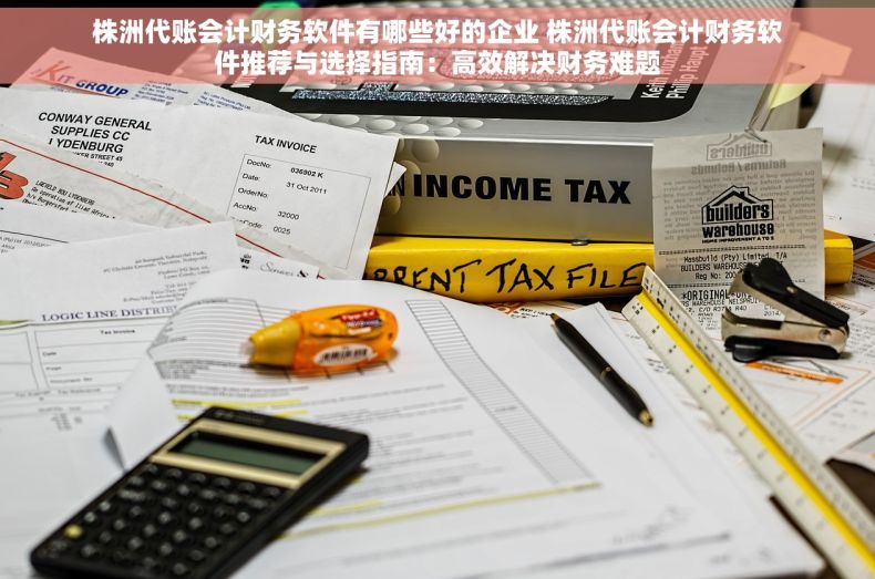 株洲代账会计财务软件有哪些好的企业 株洲代账会计财务软件推荐与选择指南：高效解决财务难题
