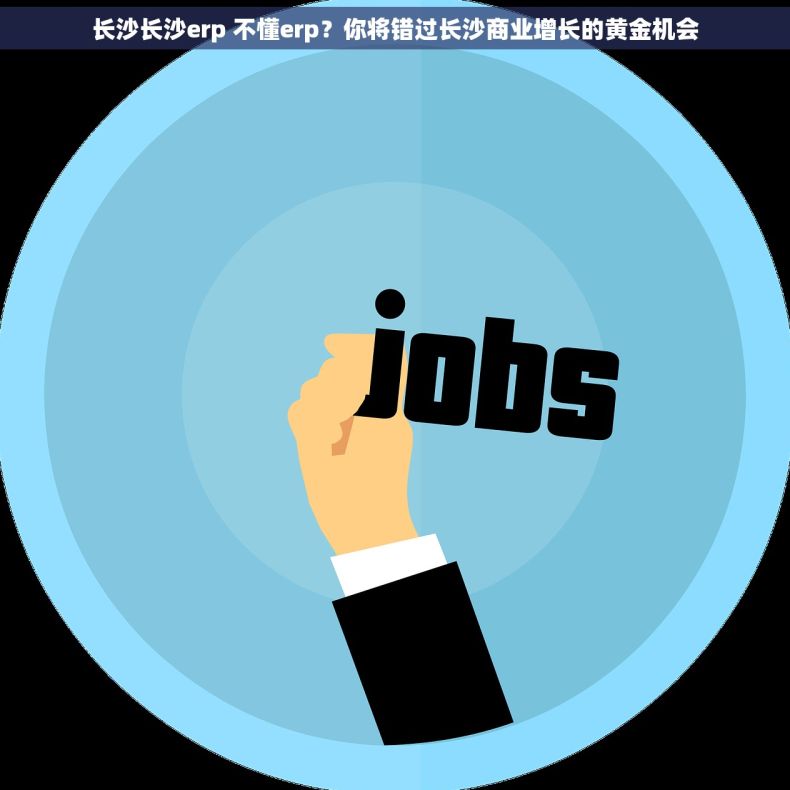 长沙长沙erp 不懂erp？你将错过长沙商业增长的黄金机会