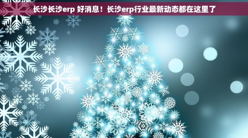 长沙长沙erp 好消息！长沙erp行业最新动态都在这里了
