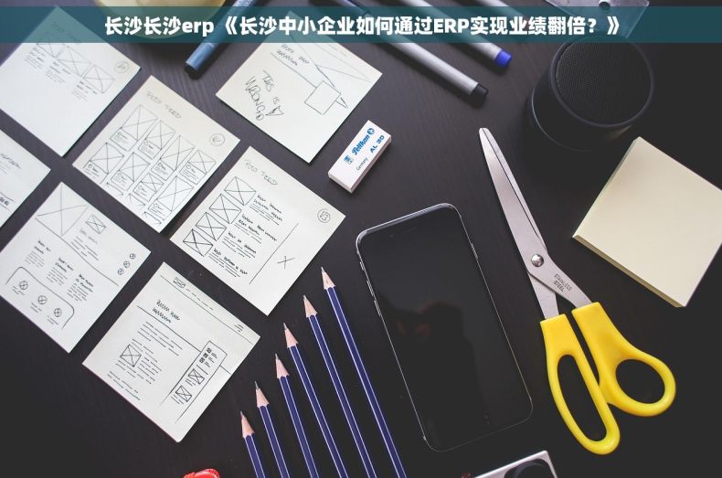长沙长沙erp 《长沙中小企业如何通过ERP实现业绩翻倍？》