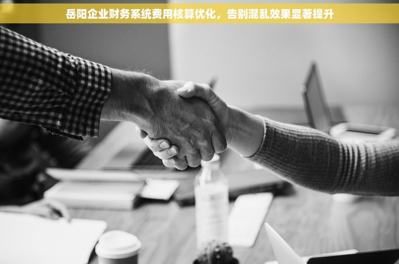 岳阳企业财务系统费用核算优化，告别混乱效果显著提升