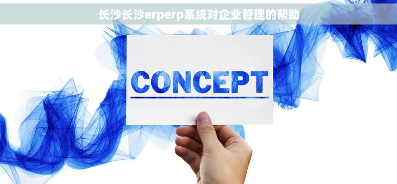 长沙长沙erperp系统对企业管理的帮助