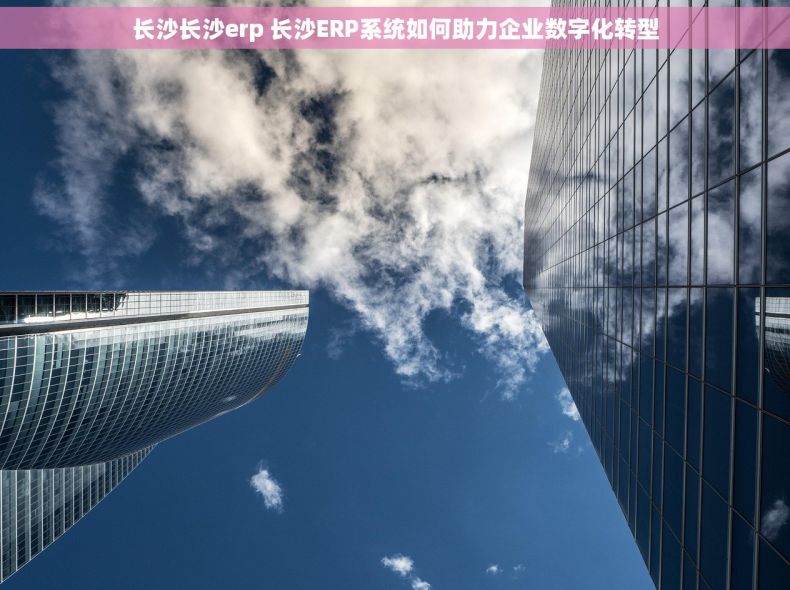 长沙长沙erp 长沙ERP系统如何助力企业数字化转型