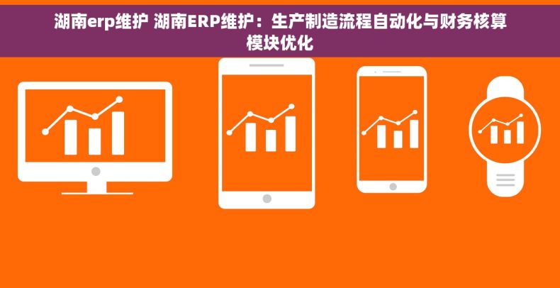 湖南erp维护 湖南ERP维护：生产制造流程自动化与财务核算模块优化