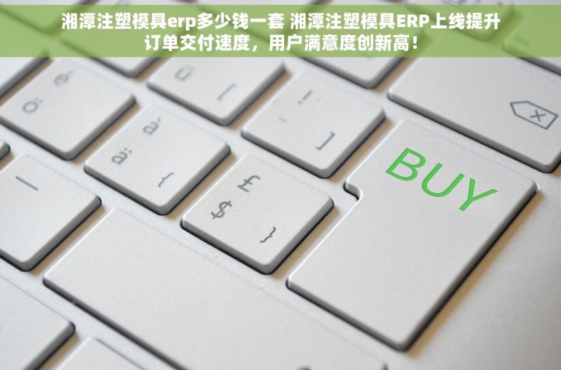 湘潭注塑模具erp多少钱一套 湘潭注塑模具ERP上线提升订单交付速度，用户满意度创新高！