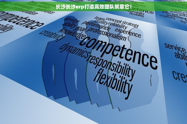 长沙长沙erp打造高效团队就靠它！