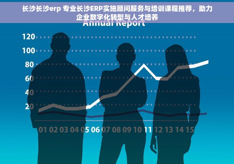长沙长沙erp 专业长沙ERP实施顾问服务与培训课程推荐，助力企业数字化转型与人才培养