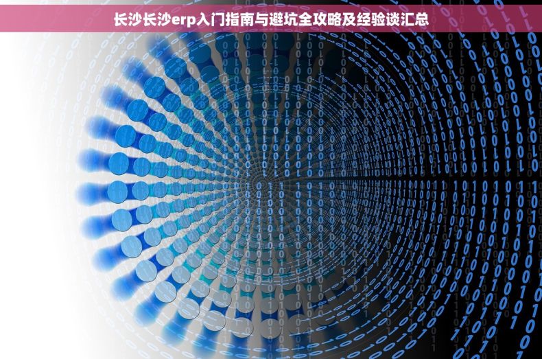 长沙长沙erp入门指南与避坑全攻略及经验谈汇总