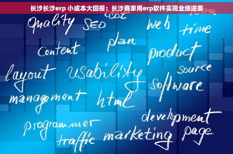 长沙长沙erp 小成本大回报：长沙商家用erp软件实现业绩逆袭