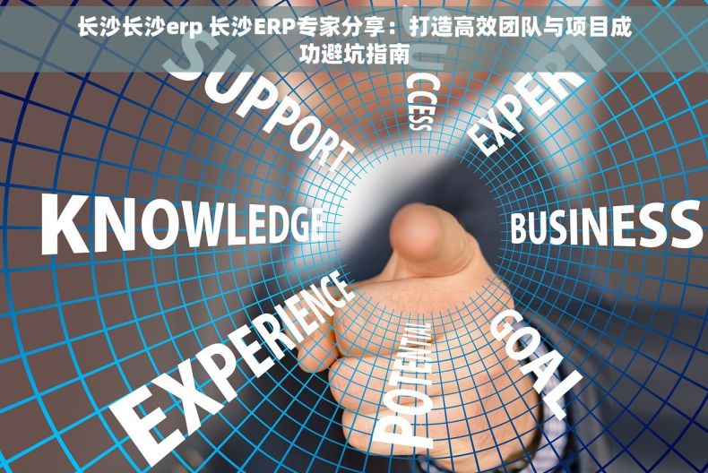 长沙长沙erp 长沙ERP专家分享：打造高效团队与项目成功避坑指南