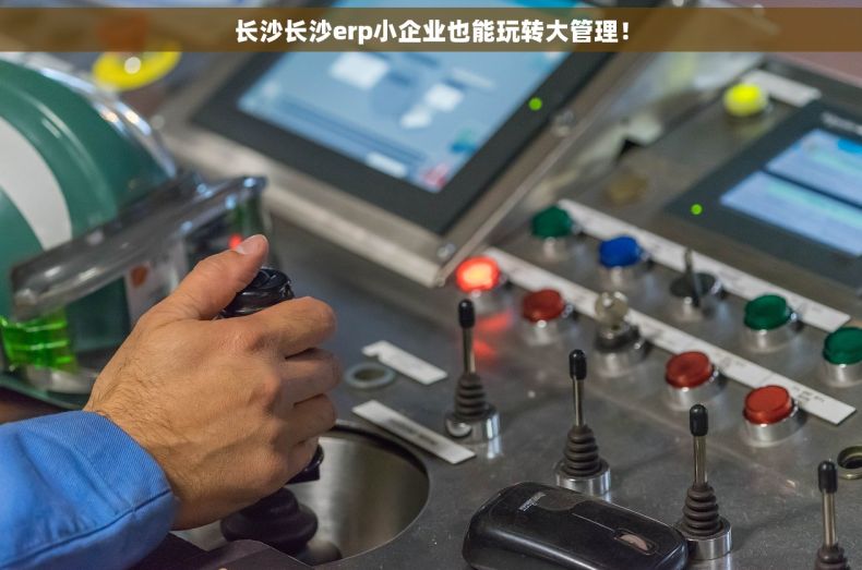 长沙长沙erp小企业也能玩转大管理！